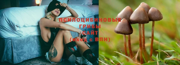 шишки Баксан